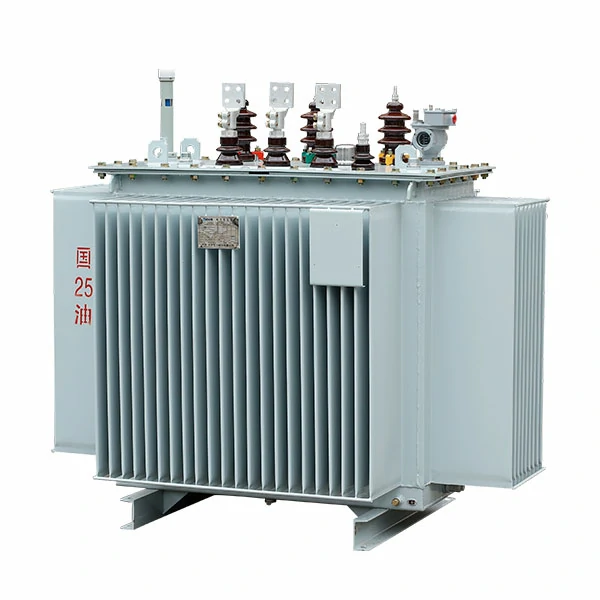 S13-M-30-2500/10 Fully Sealed Distribution Transformer