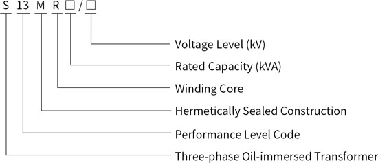 S13-M.R-30-2500/10 Solid Coil Core Transformer Model Meaning.jpg